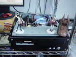 DSC00220.JPG
